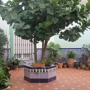 Drago Guest house